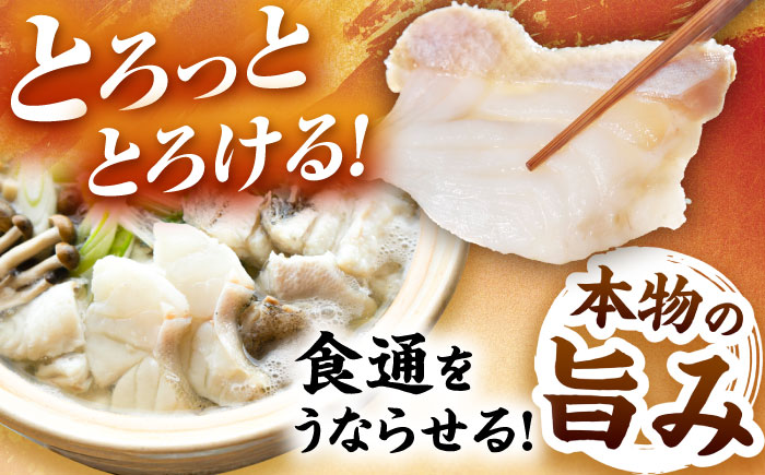 【12回定期便】クエ鍋用クエパック500g×2 五島市/金沢鮮魚[PEP052]クエ くえ 鍋 お鍋 冬 高級 贅沢