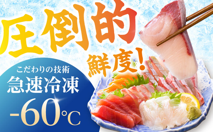 【6回定期便】【下処理済】超速冷凍鮮魚6種（5種+焼物用1種） 五島市/金沢鮮魚[PEP066]魚 鮮魚 鮮魚ボックス