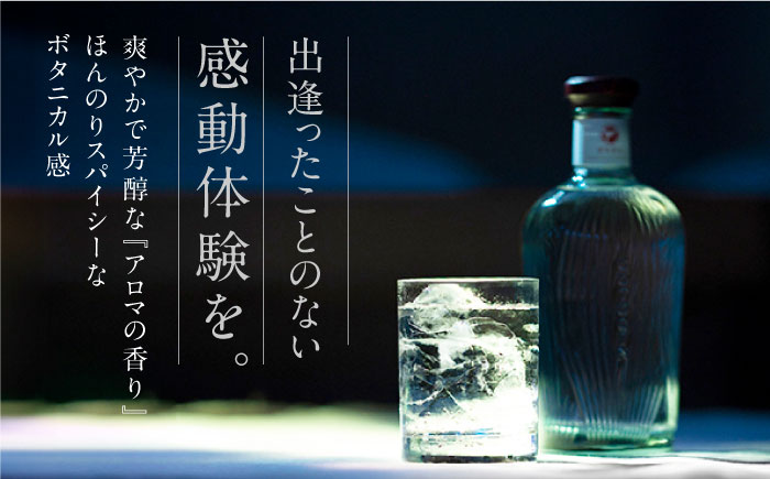 【12回定期便】GOTOGIN（ゴトジン）500ml クラフトジン 五島市/五島つばき蒸溜所[PEW004] スピリッツ 椿 酒 ジン 地酒 蒸留酒 ボトル 瓶