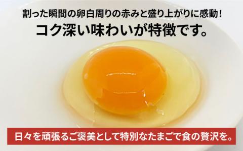 【黄身がつかめる！ブランド卵】TOCO-tori EGG ギフトBOX 卵 9個入り 高級卵 たまご 五島市 / 五島列島大石養鶏場 [PFQ001]