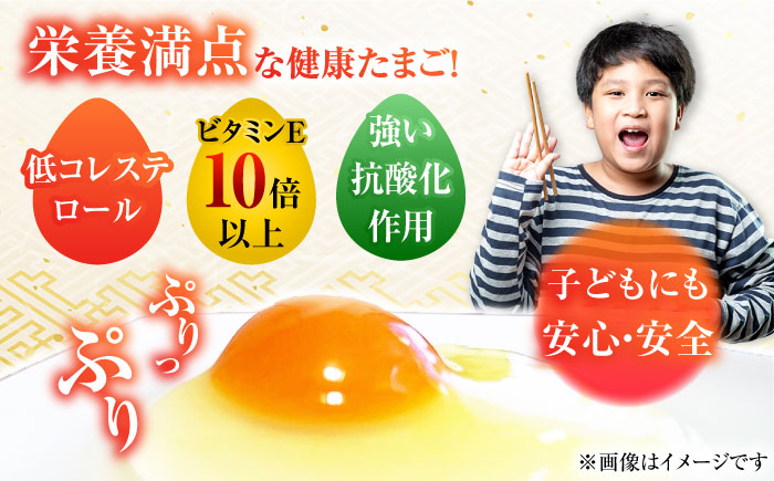 【全3回定期便】【箱入り】バラカタマゴ 45個入 M～Lサイズ 卵 玉子 たまご 国産 五島市 / 五島列島大石養鶏場 [PFQ060]