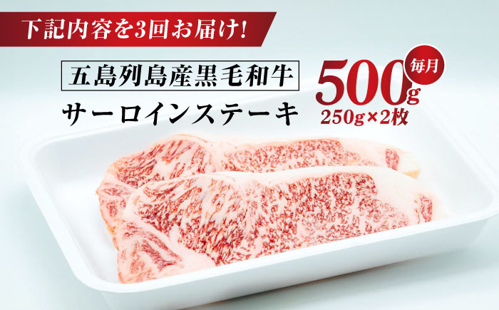 【全3回定期便】五島列島産 黒毛和牛 サーロインステーキ 250g×2枚 五島市/山口Farm [PGJ018]