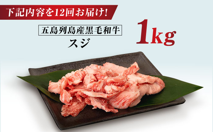 【全12回定期便】五島列島産 黒毛和牛 スジ 1kg 五島市/山口Farm [PGJ028]