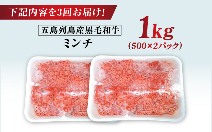 【全3回定期便】五島列島産 黒毛和牛 ミンチ 1kg 五島市/山口Farm [PGJ030]