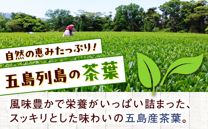 島のお茶ロールケーキ 五島市/uncalin [PGK025]