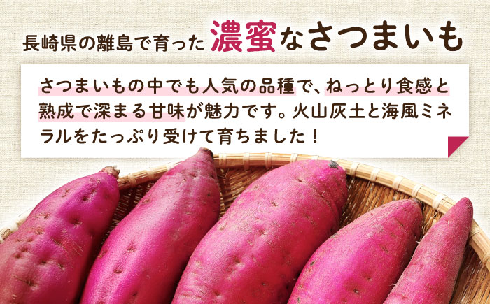 【2025年10月より発送】島の元気なさつまいも!ねっとり甘い『紅はるか』5kg 五島市/あわたに農園 [PGO002]