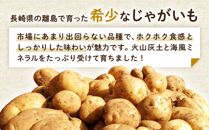 【2025年12月より発送】島の元気なじゃがいも!旨味抜群の『デジマ』5kg 五島市/あわたに農園 [PGO004]