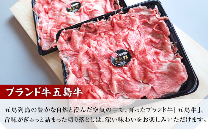 【3回定期便】五島牛 切り落とし 500g（250g×2p） 五島市/五島牛 肉のむらおか [PGP006]