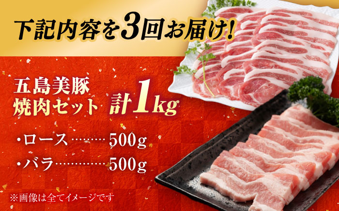 【3回定期便】五島美豚焼肉1kg（ロース500g バラ500g） 五島市/ごとう農業協同組合[PAF007]  焼肉 定期便 焼肉 定期便 焼肉 定期便 焼肉 定期便