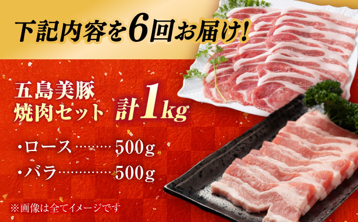 【6回定期便】五島美豚焼肉1kg（ロース500g バラ500g） 五島市/ごとう農業協同組合[PAF011]