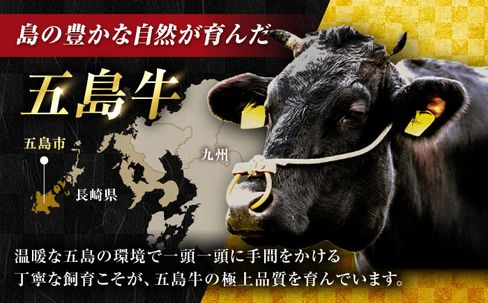 【6回定期便】五島牛 焼肉セット 1.4kg（肩ロース600g/バラ800g） 五島市/ごとう農業協同組合 [PAF047]