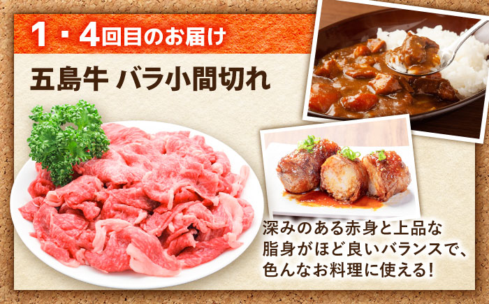 【6回定期便】食卓応援！お届け内容が毎月変わる五島牛定期便 五島市/ごとう農業協同組合 [PAF106]