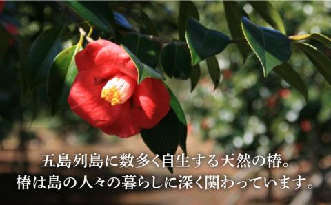 【全12回定期便】長崎・五島列島酒造 麦焼酎 五島椿 500ml Alc.23% お酒 焼酎 五島市/五島列島酒造 [PAH028]