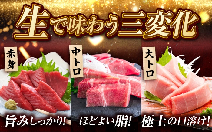 【冷蔵】長崎県五島産 近大マグロ約500g （大トロ/中トロ/赤身） 五島市/五島ヤマフ[PAK010]マグロ
