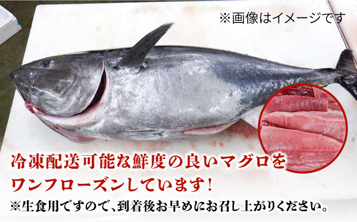 長崎県五島産 近大マグロ （赤身）刺身ブロック 五島市/五島ヤマフ[PAK019]