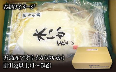 アオリイカ 一夜干し1kg以上（1-5尾） 五島市/奈留町漁業協同組合[PAT001]