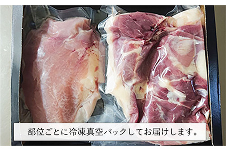五島地鶏 しまさざなみモモ・胸・ササミセット  鶏肉 鶏 肉 冷凍 五島市/五島さざなみ農園 [PBE003]