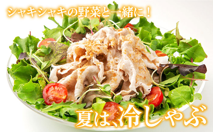 【3回定期便】五島豚の豚しゃぶ500g（250g×2パック） 五島市/ニク勝[PBF015]  しゃぶしゃぶ 豚肉 国産 五島 肉 ぶたしゃぶ 豚しゃぶ