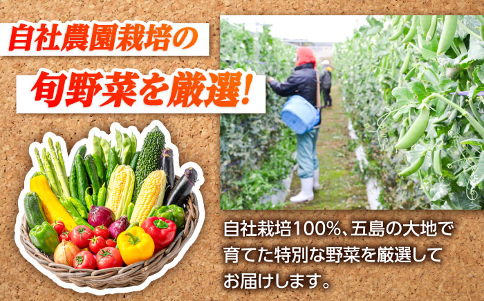 【全10回定期便】旬の野菜セット（7-10品目10kg未満）野菜 やさい 詰め合わせ セット五島市/やぁしゃ便 [PBG001]
