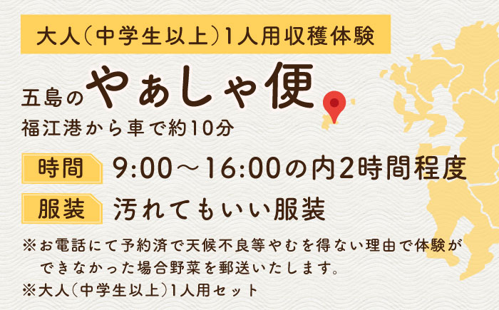 旬野菜の収穫体験 お土産の特典付　大人1人分　五島市/株式会社五島のやぁしゃ便 [PBG006]