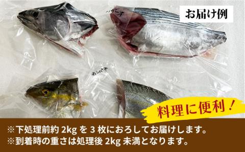 鮮魚 パック 販売