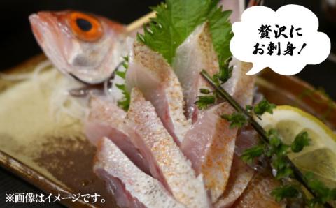 天然のどくろ（エラ・内臓処理済）アカムツ 鮮魚 魚介 刺身 五島市 / 五島FF [PBJ005]