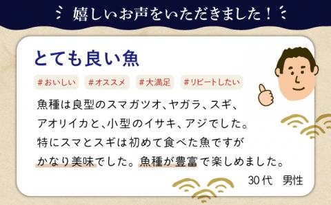 贅沢鮮魚セット3kg（エラ/内臓処理済） 五島市/五島FF[PBJ006] 冷蔵 鮮魚 魚介 刺身