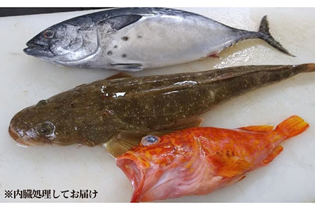 旬の地魚セット2kg（ウロコ/エラ/内臓処理済） 五島市/五島FF[PBJ009]