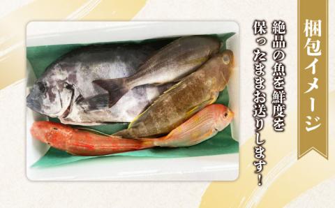 旬の地魚セット2kg（エラ/内臓処理済） 五島市/五島FF[PBJ010]
