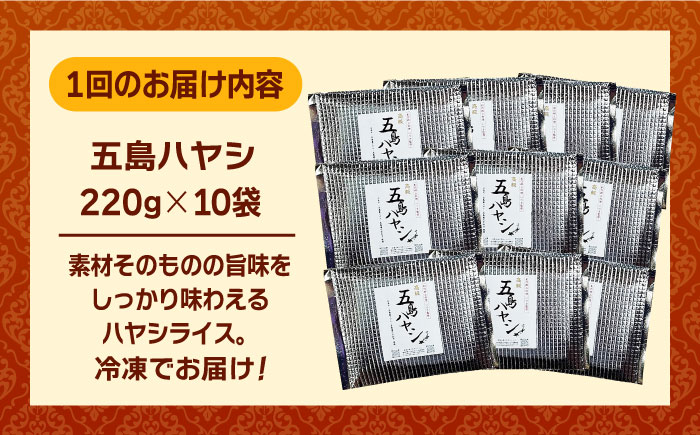 【全3回定期便】【五島牛と五島産の食材を使用したレトルト商品】こだわりの五島ハヤシ10箱セット【出口さんご】 [PBK019]