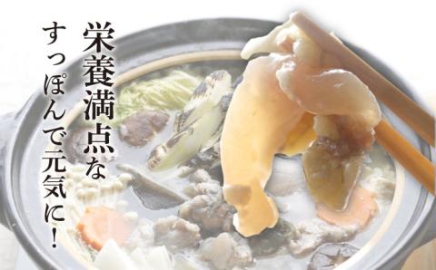 すっぽん鍋 セット 3人前 五島市/丸隆すっぽん養殖場[PBL002]  スッポン コラーゲン 鍋 美容