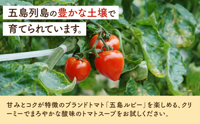 おやすみのスープ10袋（トマトポタージュ） 五島市/ごと[PBY014]  トマト レトルト 野菜スープ トマトスープ スープ 五島市