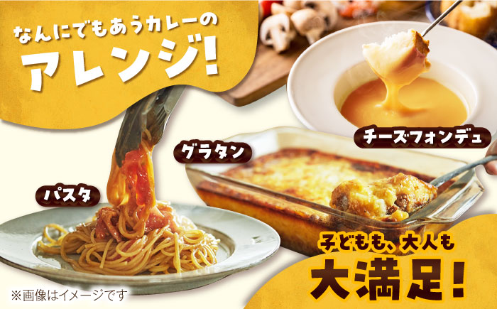 【6回定期便】ごとのカレー4種（各2袋） 五島市 五島市/ごと[PBY031]  カレー カレーライス かれー レトルト 食べ比べ 常温 五島市 定期 定期便セット カレー カレーライス レトルト 常温