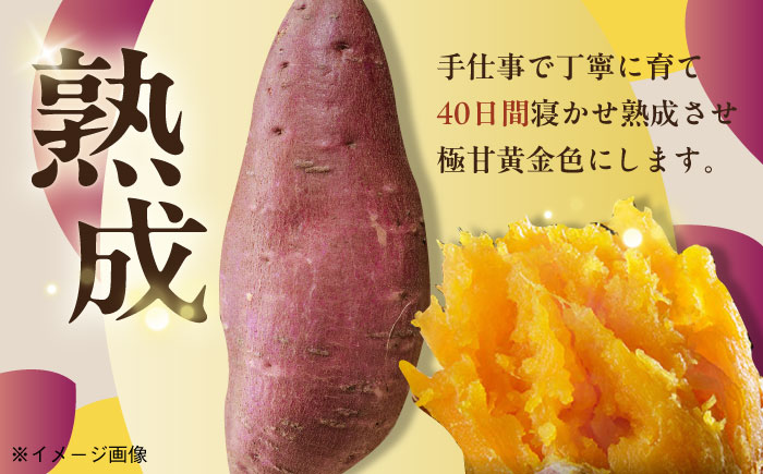 【12回定期便】【3年連続日本一】焼き芋 ごと芋 300g×6袋 五島市/ごと[PBY036] レンジで簡単 サツマイモ おやつ 小分け さつまいも 芋