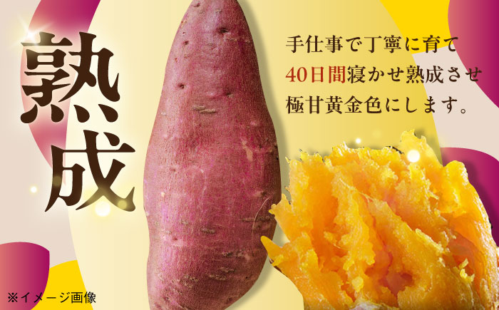 【12回定期便】焼き芋 ごとあかり（紅はるか）300g×6袋五島市/ごと[PBY040] レンジで簡単 サツマイモ おやつ 小分け さつまいも 芋