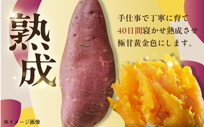 【12回定期便】【3年連続日本一】焼き芋 小粒ごと芋きらりちゃん 180g×6袋 五島市/ごと[PBY042] レンジで簡単 サツマイモ おやつ 小分け さつまいも 芋