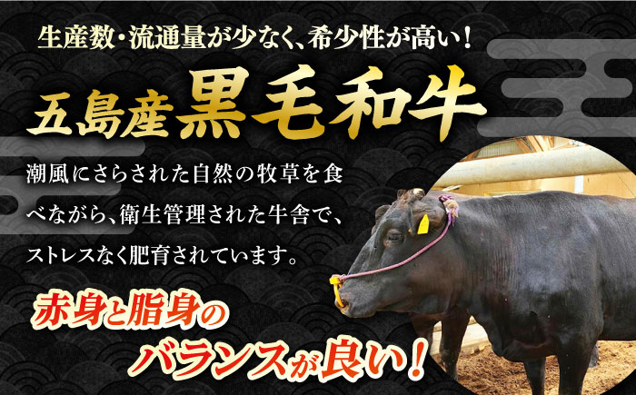 【数量限定】五島列島 五島産 黒毛和牛 すじ煮込み 五島市/心誠 [PCG012]