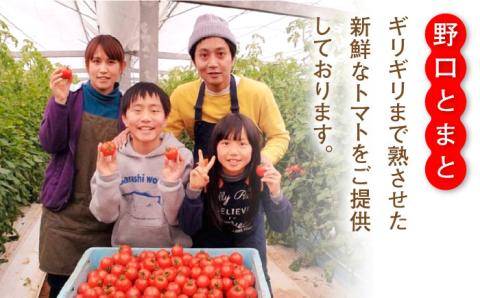 【食卓にトマトで彩りと笑顔を！】新鮮なフルティカ 約2kg【野口とまと】[PCJ004]