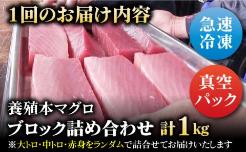 【3回定期便】本マグロブロック詰合せ1kg（養殖） 五島市/奥浦海鮮直売所[PCL009]  柵 刺身 マグロ まぐろ 鮪 さしみ とろ トロ 刺し身 冷凍 魚 鮮魚刺身柵