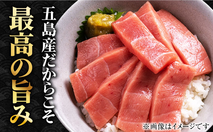 本マグロブロック詰合せ600g（養殖）五島市/奥浦海鮮直売所[PCL012]  柵 刺身 マグロ まぐろ 鮪 さしみ とろ トロ 刺し身 冷凍 魚 鮮魚 刺身柵