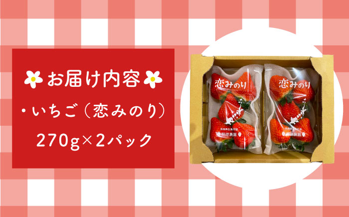 【五島特選！農家直送】ピチピチいちご 恋みのり 計540g （270g×2パック） いちご 五島市/野原農園 [PCM004]