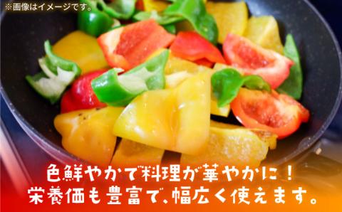 【肉厚ジューシー】五島のパプリカ 約2.7kg 五島市/HPIファーム [PCP003]