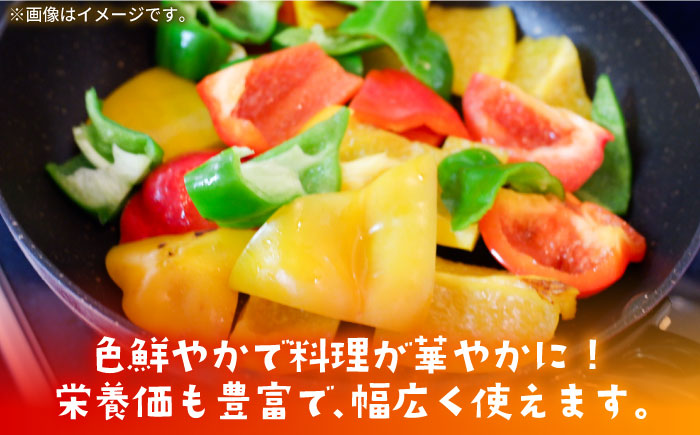 【肉厚ジューシー】五島のパプリカ 約2.4kg 五島市/HPIファーム [PCP009]