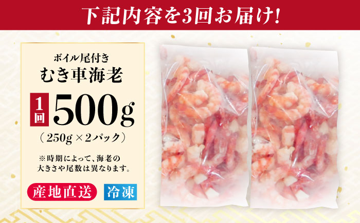 【3回定期便】五島特産 ボイル 車海老 エビ 尾付き むきえび 500g (250g×2P) 五島市/拓水 五島事業場 [PCU010]