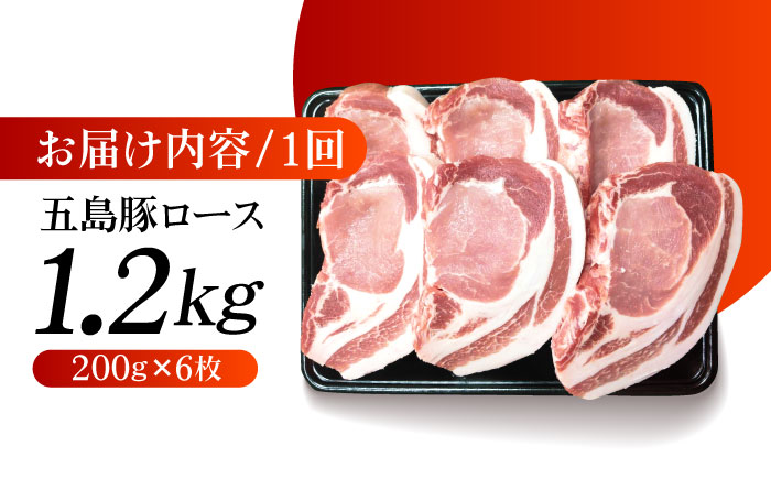 【6回定期便】五島豚 極厚ロース1.2kg （200g×6枚） 五島市/肉のマルヒサ[PCV027]