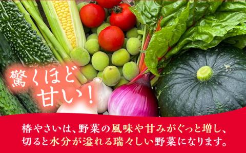 何が届くかはお楽しみ 椿やさいの野菜セット(8-10品)詰合せ 五島市/いきいきファーム [PCY001]