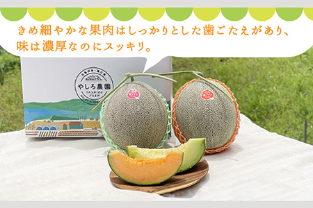 やしろ農園の椿メロンアイス2色入り8個セット [PCY002]