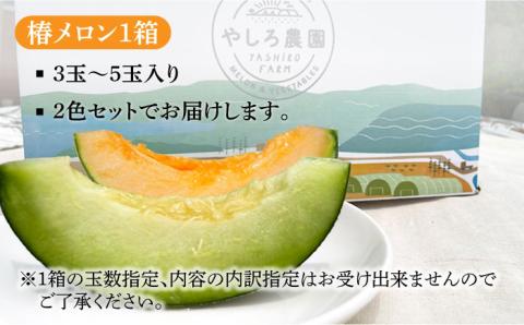 【先行予約】【2026年6月順次発送】やしろ農園の椿メロン 赤肉 緑 メロン フルーツ 果物 五島市/いきいきファーム [PCY008]