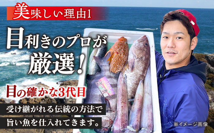 【五島列島直送】朝獲れ高級鮮魚セット2kg 五島市 / 鯛福丸水産[PDP002]  鮮魚 セット 冷蔵 刺身 魚 海鮮 直送 さかな 詰合せ 新鮮 料理