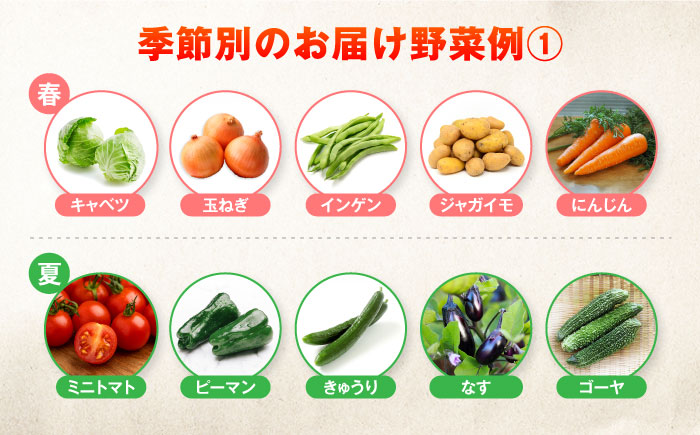 【全6回定期便】有機農法・旬の野菜詰め合わせ 野菜セット 五島市/ぷらっと農園 [PDS008]